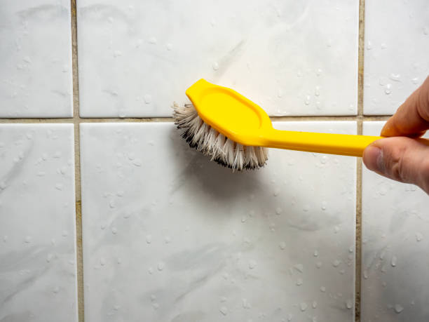 Best DIY Mold Remediation Support Services in Atascocita, TX