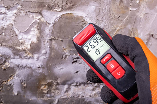 Best Localized Mold Remediation (e.g., coastal areas, humid climates) in Atascocita, TX